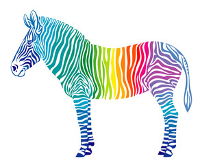Fototapeta na wymiar Rainbow zebra