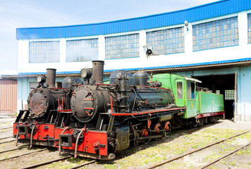 Fototapeta na wymiar steam locomotives in depot, Kostolac, Serbia
