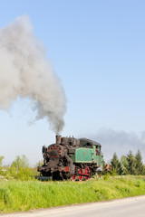 Fototapeta na wymiar steam locomotive, Durdevik, Bosnia and Hercegovina
