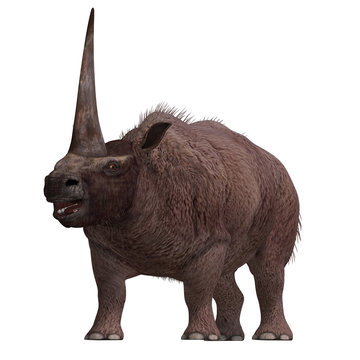 Dinosaur Elasmotherium. .3D rendering with clipping path and