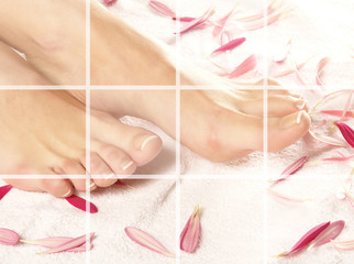 Sexy feet of a young woman covered with pink petals