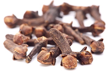 Spice cloves on white background