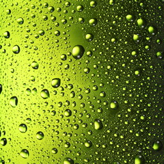 Texture water drops on the bottle of beer.