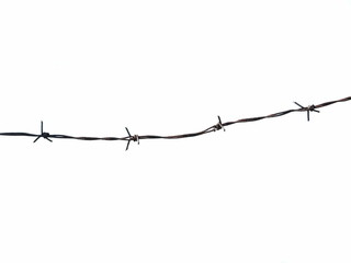 barbed wire fence isolated