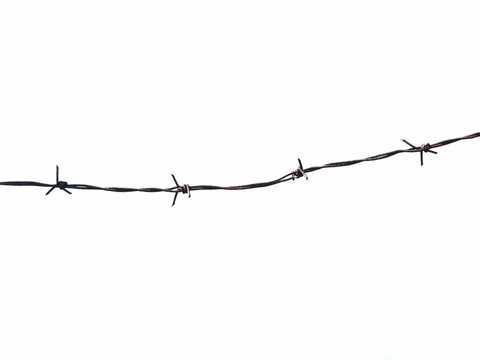 barbed wire fence isolated