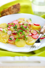 Spring salad with radishes, potato and fresh green onion