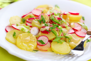 Spring salad with radishes, potato and fresh green onion