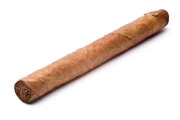 Single cigar isolated on a white background
