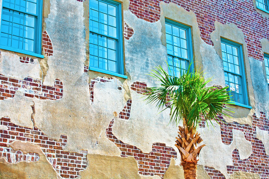 facade of old historic house with palm tree