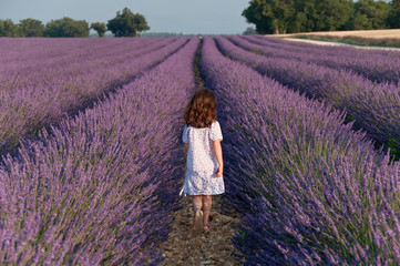 Girl in a white derss going away in a lavender field