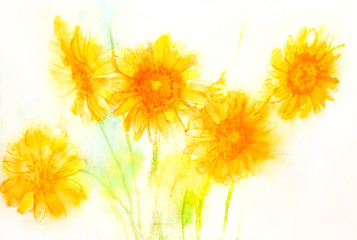 gerbera daisies.  Paper. Watercolor.