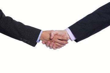 Fototapeta na wymiar Business handshake
