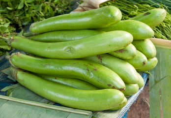 egg plant