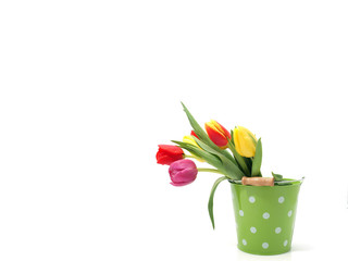 Colourful tulips in the bucket