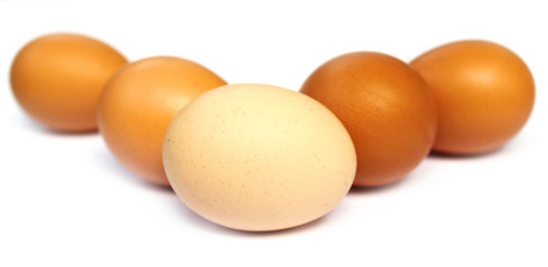 Eggs of different colors
