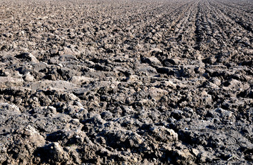 Campo arato