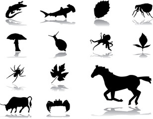 Set icons - 151. Nature