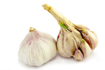Obraz premium garlic