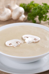Mushroom soup