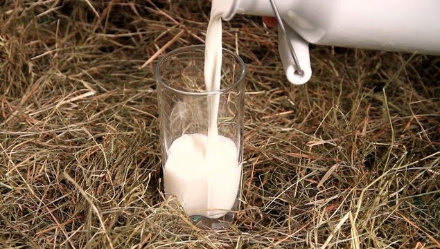 Bio-Milch