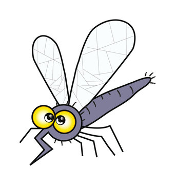 cartoon mosquito isolation over white