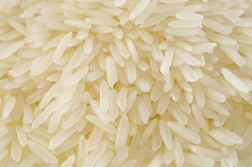 rice background