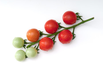 cherry tomato