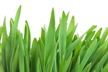 glass isolated on the white background