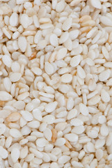 sesame