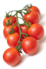 cherry tomato