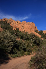 route dans l'Esterel