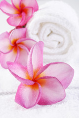 Fototapeta na wymiar massage towel with plumeria flower