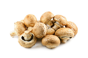 champignons on white background