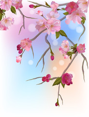 Vector background with gentle sakura branches of  flowers