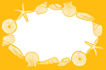 Seashell design - vector illustration