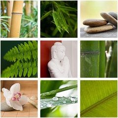 Composition zen