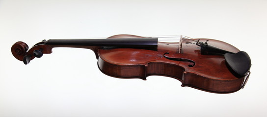 Obraz premium Violin