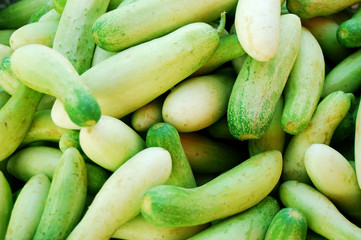 cucumber green vegetable
