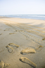 footprints