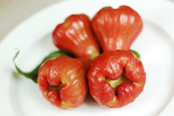Rose apple in Thailand