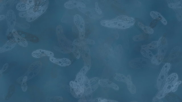 Bacteria motion background (seamless loop)