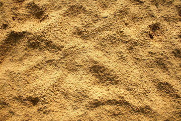 Sand and Sun on the Beach