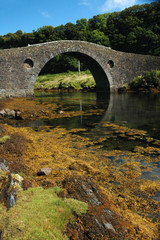 Seil Bridge