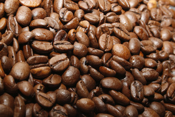 coffee beans