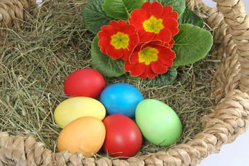 Osternest mit bunten Eiern und Blumendeko