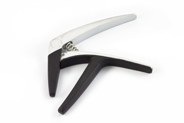Obraz premium Capo