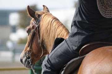 Riding an horse