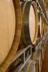 Wine cellar with barrique barrels © Maroš Markovič