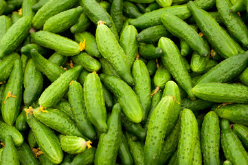 Cucumbers