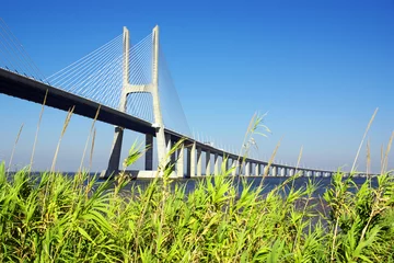 Foto auf Acrylglas Ponte Vasco da Gama Vasco-da-Gama-Brücke